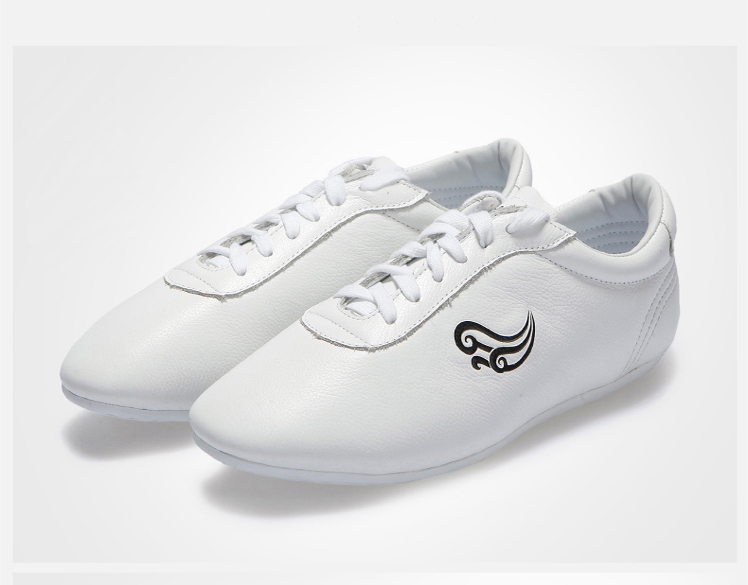 Tai Chi Shoes Leather Tai Chi Shoes